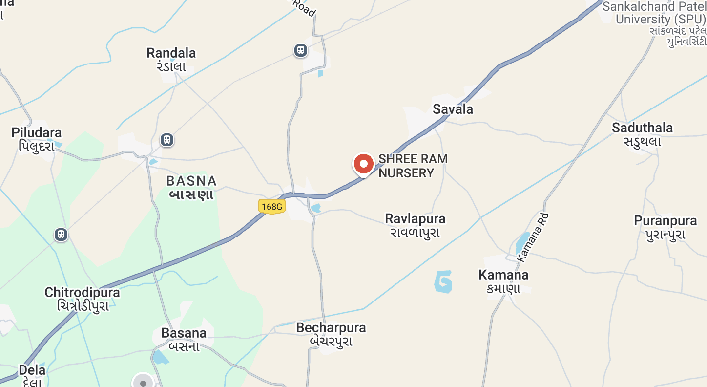 Map showing Shree Ram Nursery